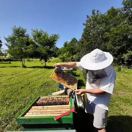 Na Vcelej Farme * Polichno