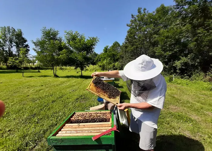 Na Vcelej Farme * Polichno